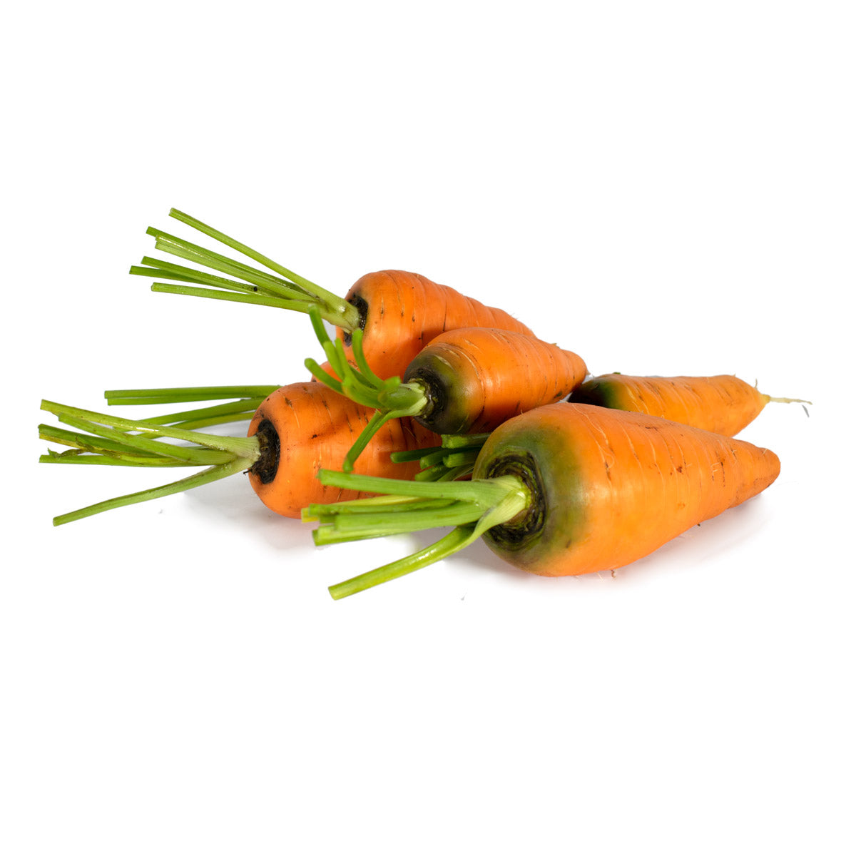 Zanahoria Común Orgánica certificada Ecocert