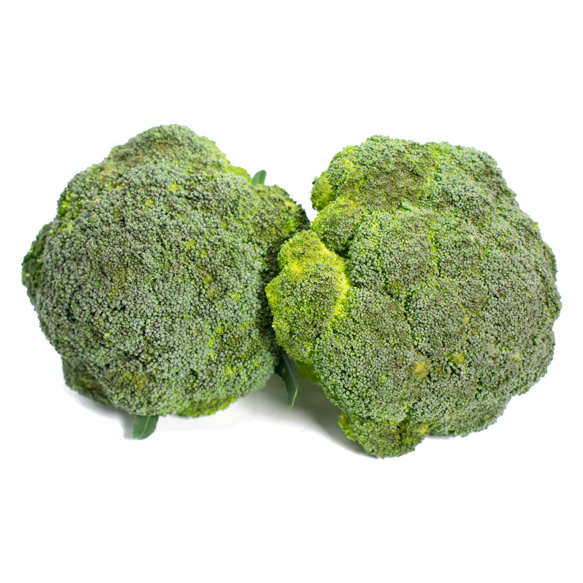 Brócoli Orgánico certificado Ecocert 500 g
